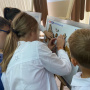 Школьники собирают спилс-карты. Фото Дмитрия Грудинина