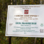 Сертификат о присвоении статуса сосне. Фото: нацпарк "Бузулукский бор"