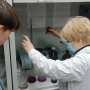 Химический анализ в лаборатории. Фото Е. Гончаров