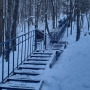 Фото предоставлено Гузель Хамитовой