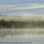 Дымка летнего утра. Георгий Белов. Финалист фотоконкурса "Самая красивая страна глазами детей" (2020 г.)