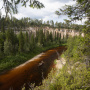 Заповедная река Сотка. Фото: Владимир Горбатовский