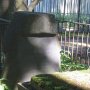 Эпитафия на памятнике Ф.Ф. Буссе: "Делая добро, да не унываем, ибо в свое время пожнем, если не ослабеем"