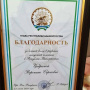Благодарность. Фото предоставлено МК РГО "Росток" 