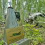 The crash site of the “Airacobra” aircraft. Photo provided by the participants of the expedition