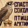 Заставка к фильму. Фото: Эдуард Прудкий.