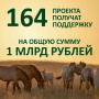 164 проекта победили в грантовом конкурсе 