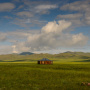 Вид на курган и Долину Царей. Фото: Алексей Михайлов
