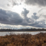 Фото предоставлено АКО ВОО РГО